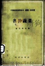 中国农业百科全书 蔬菜卷 各种蔬菜 1989 PDF电子版封面 7109013057 蒋光明主编