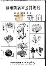 食用菌病害及其防治 1991 PDF电子版封面 7537703787 刘波等著
