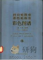 间日疟原虫恶性疟原虫彩色图谱   1996  PDF电子版封面  7805846561  郑璇，刘祥焜主编；贵州省寄生虫病研究所编 