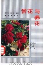 赏花与养花 1993 PDF电子版封面 7030034058 薛守纪,刘金编著