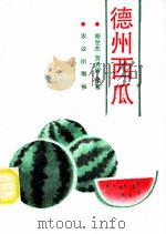 德州西瓜   1989  PDF电子版封面  7109013847  郑世杰，贺洪军编著 