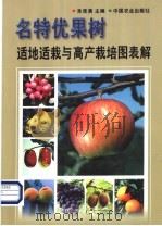 名特优果树适地适栽与高产栽培图表解   1999  PDF电子版封面  7109056988  朱佳满主编 