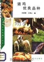 猪鸡优良品种 1993 PDF电子版封面 7109026124 冯维祺,王端云编