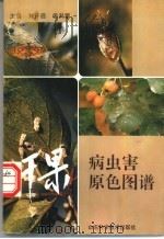 干果病虫害原色图谱 1995 PDF电子版封面 7533116321 刘开启,徐洪富主编