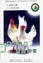 养鸡窍门百问百答   1998  PDF电子版封面  7109050742  杜华锐主编 