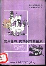 实用蛋鸡、肉鸡养殖新技术 1992 PDF电子版封面 7504109738 朱元照等编