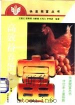 高效益养蛋鸡 1996 PDF电子版封面 7534918111 王清义等编著