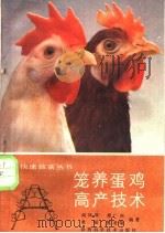 笼养蛋鸡高产技术   1989  PDF电子版封面  7536905882  阎凤琴等编著 