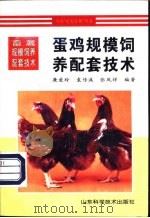 蛋鸡规模饲养配套技术   1997  PDF电子版封面  7533120035  廉爱玲等编著 