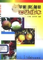 苹果 梨 葡萄套袋技术 1999 PDF电子版封面 7109059936 王少敏,高华君等编著