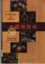 中国猕猴桃 1993 PDF电子版封面 7533111907 崔致学主编