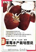 草莓丰产栽培图说 1994 PDF电子版封面 7503813377 李世一等编著