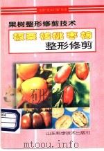 板栗  核桃  枣  柿整形修剪（1997 PDF版）