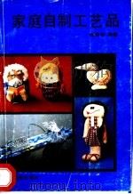 家庭自制工艺品 1991 PDF电子版封面 754380297X 韩晓非编著