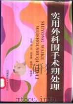 实用外科围手术期处理 1999 PDF电子版封面 7810483579 何苡等主编