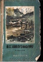红湖的秘密   1956  PDF电子版封面    （苏）格拉切夫（А.Грачев）著；王学源译 