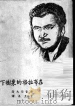 在布拉格的栗树下 1949 PDF电子版封面 西蒙诺夫著