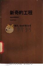 新奇的工程 1974 PDF电子版封面 卢科编著