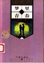 梦里青春 1998 PDF电子版封面 7506313731 李叔阳著