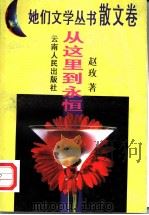 从这里到永恒   1996  PDF电子版封面  7222019383  赵玫著 