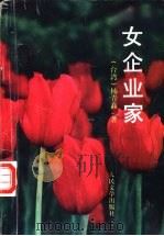 女企业家 1996 PDF电子版封面 7020023207 (台湾)杨青矗著