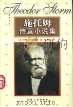 施托姆诗意小说集 上 1999 PDF电子版封面 7539618191 (德)特奥多·施托姆(Theodor Storm)著;赵燮生