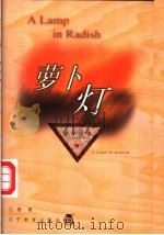 萝卜灯   1999  PDF电子版封面  753825482X  江音著 