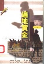 遍地黄金   1996  PDF电子版封面  7543015218  董宏量著 