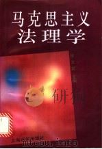 马克思主义法理学   1993  PDF电子版封面  780514950X  修义庭主编 
