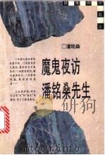 魔鬼夜访潘铭燊先生   1996  PDF电子版封面  7208022291  潘铭燊著 