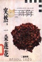 突然，一朵莲花   1996  PDF电子版封面  7208022356  黄维梁著 