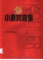 小奏鸣曲集   1955  PDF电子版封面  710300370X  克勒编 