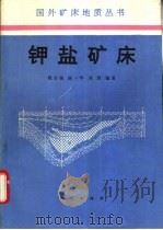 钾盐矿床（1994 PDF版）