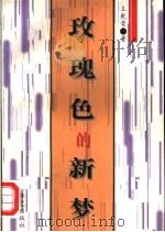 玫瑰色的新梦 1997 PDF电子版封面 7801420101 王乾荣著