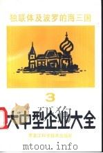 独联体及波罗的海三国大中型企业大全  第3分册  机械电子产品   1993  PDF电子版封面  7538821732  罗应立，周立群主编 