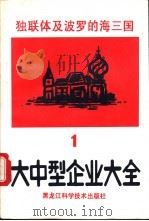 独联体及波罗的海三国大中型企业大全  第1分册  黑色有色金属   1993  PDF电子版封面  7538821732  罗应立，周立群主编 