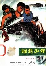 甜岛少年 1973 PDF电子版封面 R13024·8 徐琢平,胡长华著