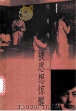 被思想惊醒 1998 PDF电子版封面 7501210373 祝勇著