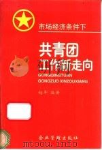 市场经济条件下共青团工作新走向 1996 PDF电子版封面 7800017400 赵丰编著