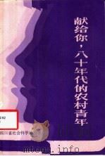 献给你八十年代的农村青年   1984  PDF电子版封面  3316·4  刘成根，文献良，王曙光著 