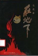 在地下 白区地下党工作经验初步总结 1987 PDF电子版封面 756140011X 马识途著