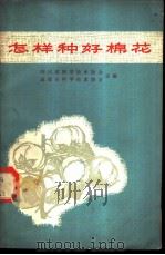 怎样种好棉花 1964 PDF电子版封面 T16118·155 四川省科学技术协会,成都市科学技术协会主编