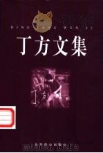 丁方文集   1998  PDF电子版封面  754021127X  丁方著 