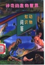 动物知识问答  第4册   1998  PDF电子版封面  7801312406  徐芹主编；徐芹，周永真编著 