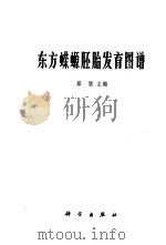 东方蝾螈胚胎发育图谱 1978 PDF电子版封面 13031·763 蔡堡主编