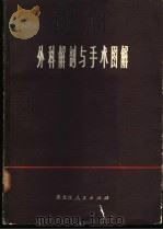 外科解剖与手术图解 1974 PDF电子版封面 哈尔滨医科大学《外科解剖与手术图解》编写组编著