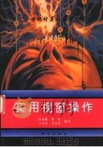 实用视窗操作 1996 PDF电子版封面 703005282X 吕奇恩等编著