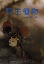 野生植物   1985  PDF电子版封面  10309·68  （菲）云鹤著 