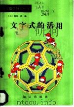文字式的活用   1987  PDF电子版封面  7501500568  （日）横地清编；（日）山岸雄策著；刘正一译 