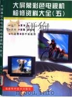 大屏幕彩色电视机检修资料大全 5 1999 PDF电子版封面 7533515021 吴南岩,孙清主编;吴南岩等主编